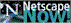 netscape.gif (2172 bytes)